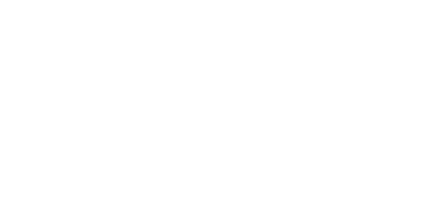 Gin Bond London Dry
