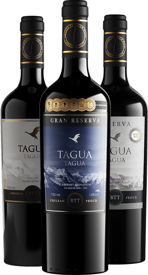Vinos Tagua Tagua Chile