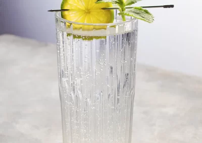 Vodka Tonic